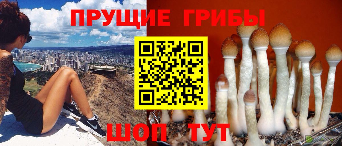 Псилоцибиновые грибы Magic Shrooms  Вход с VPN  Жигулёвск 